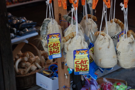 mangalia nu si a gasit inca brand ul galerie foto 30330 259790 mangalia nu si a gasit inca brand ul galerie foto 30330 259790