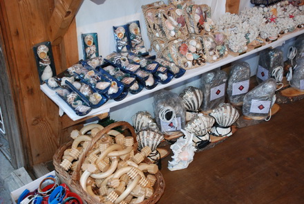 mangalia nu si a gasit inca brand ul galerie foto 30330 259790 mangalia nu si a gasit inca brand ul galerie foto 30330 259790