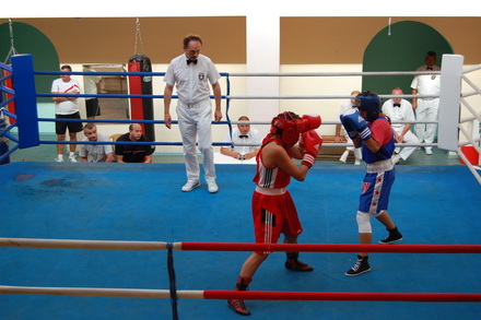 campioanele romaniei la box 23643 261060 campioanele romaniei la box 23643 261060