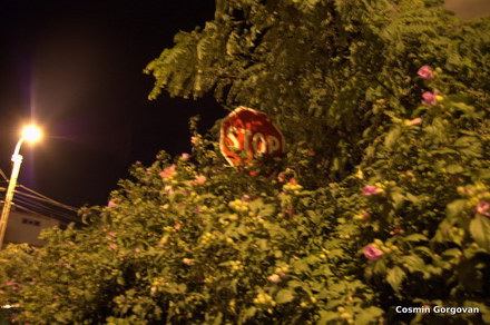 accident in constanta galerie foto 18627 261339 accident in constanta galerie foto 18627 261339