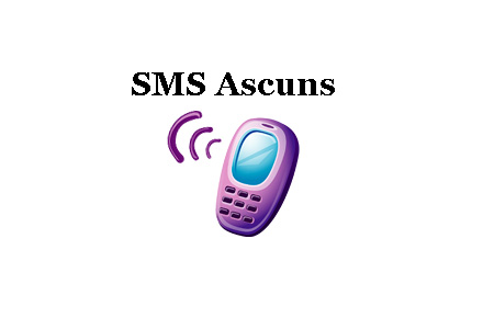 sms_ascuns.jpg