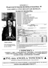 Liberalii confunda Romania bunului-simt cu cea a bunului plac