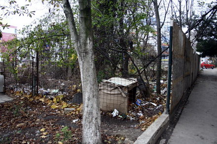 groapa de gunoi din strada zefirului poarta 6 galerie foto 36718 269041 groapa de gunoi din strada zefirului poarta 6 galerie foto 36718 269041