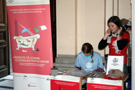 mesaje pentru marea neagra un real succes galerie foto 15930 269709 mesaje pentru marea neagra un real succes galerie foto 15930 269709