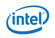 Guvernul american a dat in judecata Intel