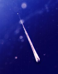 Gazele din atmosfera au fost aduse pe Pamant de meteoriti