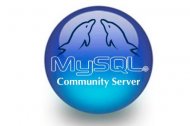 Petitie pentru protejarea MySQL de Oracle