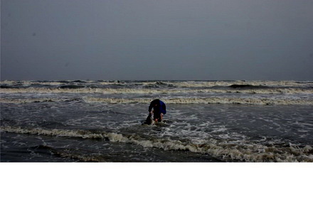 au salvat un delfin galerie foto 31119 277391 au salvat un delfin galerie foto 31119 277391