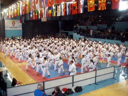 doua medalii la campionatul mondial de karate galerie foto 32465 278219 doua medalii la campionatul mondial de karate galerie foto 32465 278219
