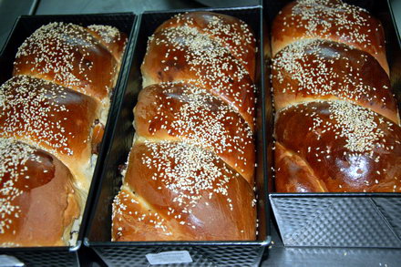 masa traditionala de pasti pentru 300 de bolnavi de la spitalul de boli infectioase galerie foto 22925 masa traditionala de pasti pentru 300 de bolnavi de la spitalul de boli infectioase galerie foto 22925