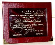 Conferinta Constanta In Romania sunt inregistrate aproximativ 600.000 pers cu diabet, din care 2.500 sunt copii !