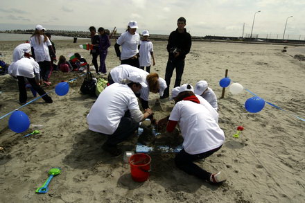 prefectul claudiu palaz a sustinut sa construim europa pe plaja modern galerie foto 88084 284288 prefectul claudiu palaz a sustinut sa construim europa pe plaja modern galerie foto 88084 284288