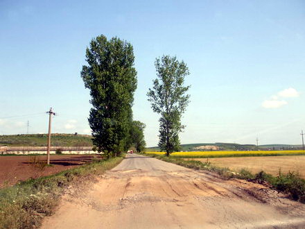 mai exista drumuri judetene de pamant safari pe dj 223 b galerie foto 61246 285125 mai exista drumuri judetene de pamant safari pe dj 223 b galerie foto 61246 285125