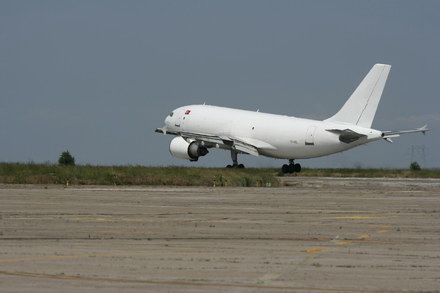 exclusivitate cum ii cheama pe delfini in limba romana ni ni fetita pei pei bebelus chen chen rasarit exclusivitate cum ii cheama pe delfini in limba romana ni ni fetita pei pei bebelus chen chen rasarit