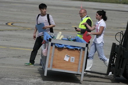 exclusivitate cum ii cheama pe delfini in limba romana ni ni fetita pei pei bebelus chen chen rasarit exclusivitate cum ii cheama pe delfini in limba romana ni ni fetita pei pei bebelus chen chen rasarit