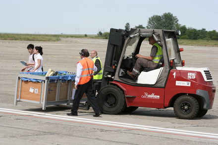 exclusivitate cum ii cheama pe delfini in limba romana ni ni fetita pei pei bebelus chen chen rasarit exclusivitate cum ii cheama pe delfini in limba romana ni ni fetita pei pei bebelus chen chen rasarit