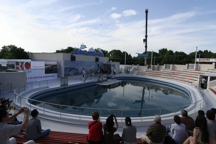 exclusivitate cum ii cheama pe delfini in limba romana ni ni fetita pei pei bebelus chen chen rasarit exclusivitate cum ii cheama pe delfini in limba romana ni ni fetita pei pei bebelus chen chen rasarit