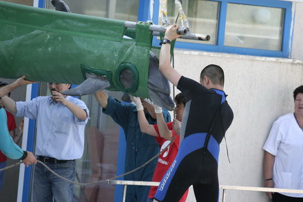 exclusivitate cum ii cheama pe delfini in limba romana ni ni fetita pei pei bebelus chen chen rasarit exclusivitate cum ii cheama pe delfini in limba romana ni ni fetita pei pei bebelus chen chen rasarit