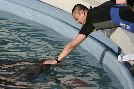 exclusivitate cum ii cheama pe delfini in limba romana ni ni fetita pei pei bebelus chen chen rasarit exclusivitate cum ii cheama pe delfini in limba romana ni ni fetita pei pei bebelus chen chen rasarit