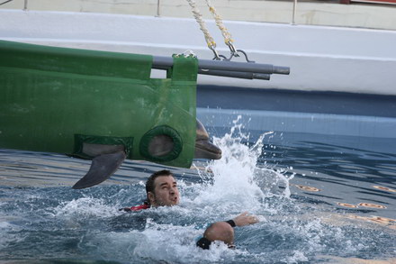 exclusivitate cum ii cheama pe delfini in limba romana ni ni fetita pei pei bebelus chen chen rasarit exclusivitate cum ii cheama pe delfini in limba romana ni ni fetita pei pei bebelus chen chen rasarit