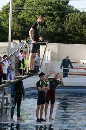 exclusivitate cum ii cheama pe delfini in limba romana ni ni fetita pei pei bebelus chen chen rasarit exclusivitate cum ii cheama pe delfini in limba romana ni ni fetita pei pei bebelus chen chen rasarit