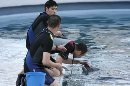 exclusivitate cum ii cheama pe delfini in limba romana ni ni fetita pei pei bebelus chen chen rasarit exclusivitate cum ii cheama pe delfini in limba romana ni ni fetita pei pei bebelus chen chen rasarit