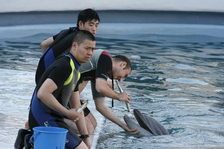 exclusivitate cum ii cheama pe delfini in limba romana ni ni fetita pei pei bebelus chen chen rasarit exclusivitate cum ii cheama pe delfini in limba romana ni ni fetita pei pei bebelus chen chen rasarit