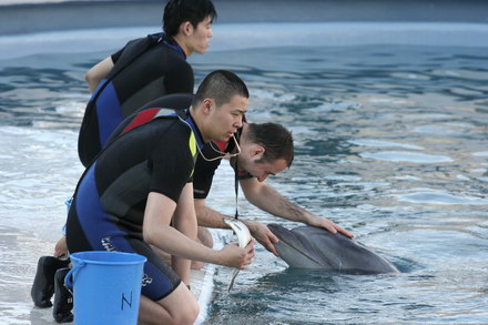 exclusivitate cum ii cheama pe delfini in limba romana ni ni fetita pei pei bebelus chen chen rasarit exclusivitate cum ii cheama pe delfini in limba romana ni ni fetita pei pei bebelus chen chen rasarit