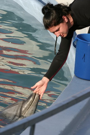 exclusivitate cum ii cheama pe delfini in limba romana ni ni fetita pei pei bebelus chen chen rasarit exclusivitate cum ii cheama pe delfini in limba romana ni ni fetita pei pei bebelus chen chen rasarit