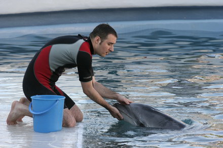 exclusivitate cum ii cheama pe delfini in limba romana ni ni fetita pei pei bebelus chen chen rasarit exclusivitate cum ii cheama pe delfini in limba romana ni ni fetita pei pei bebelus chen chen rasarit