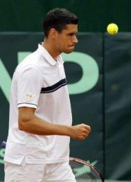 Tenis (Roland Garros) Hanescu eliminat de Djokovic