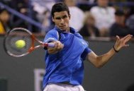 Tenis (Roland Garros) Hanescu in turul 3