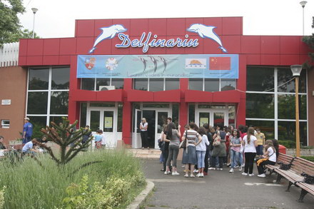 situatii amuzante din viata celor trei vedete ale delfinariului galerie foto 90841 287546 situatii amuzante din viata celor trei vedete ale delfinariului galerie foto 90841 287546