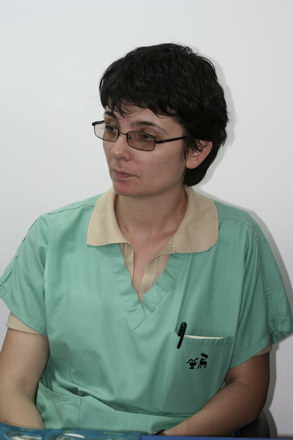 situatii amuzante din viata celor trei vedete ale delfinariului galerie foto 90841 287546 situatii amuzante din viata celor trei vedete ale delfinariului galerie foto 90841 287546