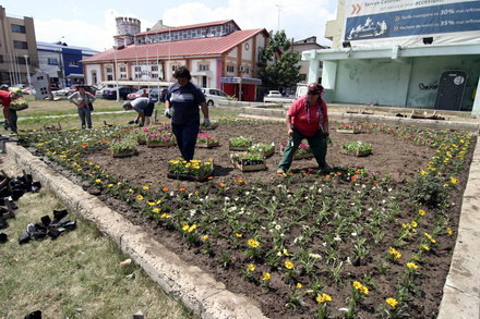 cum contrazic angajatii de la pomacost vorbele lui mazare galerie foto 32006 288396 cum contrazic angajatii de la pomacost vorbele lui mazare galerie foto 32006 288396