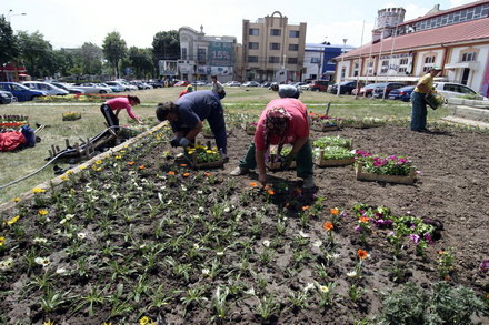 cum contrazic angajatii de la pomacost vorbele lui mazare galerie foto 32006 288396 cum contrazic angajatii de la pomacost vorbele lui mazare galerie foto 32006 288396