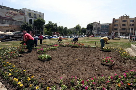 cum contrazic angajatii de la pomacost vorbele lui mazare galerie foto 32006 288396 cum contrazic angajatii de la pomacost vorbele lui mazare galerie foto 32006 288396