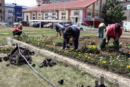 cum contrazic angajatii de la pomacost vorbele lui mazare galerie foto 32006 288396 cum contrazic angajatii de la pomacost vorbele lui mazare galerie foto 32006 288396