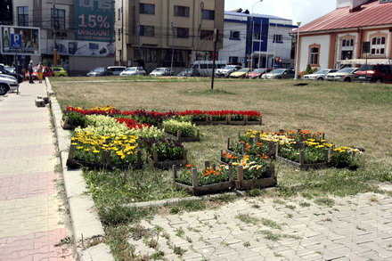 cum contrazic angajatii de la pomacost vorbele lui mazare galerie foto 32006 288396 cum contrazic angajatii de la pomacost vorbele lui mazare galerie foto 32006 288396