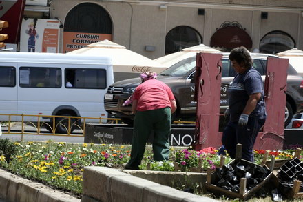 cum contrazic angajatii de la pomacost vorbele lui mazare galerie foto 32006 288396 cum contrazic angajatii de la pomacost vorbele lui mazare galerie foto 32006 288396