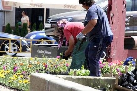 cum contrazic angajatii de la pomacost vorbele lui mazare galerie foto 32006 288396 cum contrazic angajatii de la pomacost vorbele lui mazare galerie foto 32006 288396
