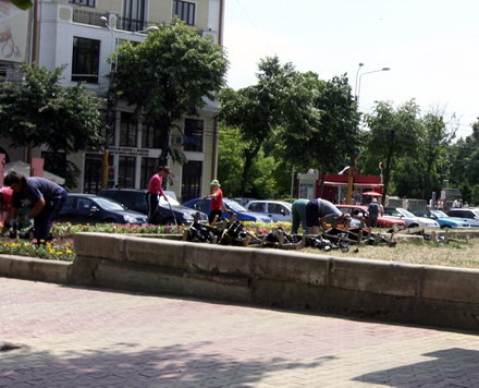 cum contrazic angajatii de la pomacost vorbele lui mazare galerie foto 32006 288396 cum contrazic angajatii de la pomacost vorbele lui mazare galerie foto 32006 288396