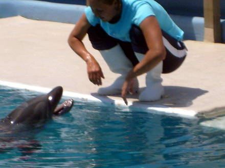 o viitoare poveste de dragoste intre pei pei si ni ni galerie foto 89346 288575 o viitoare poveste de dragoste intre pei pei si ni ni galerie foto 89346 288575