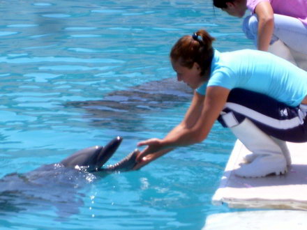 o viitoare poveste de dragoste intre pei pei si ni ni galerie foto 89346 288575 o viitoare poveste de dragoste intre pei pei si ni ni galerie foto 89346 288575