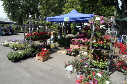 salonul regional al cercetarii in premiera la constanta galerie foto 80817 288735 salonul regional al cercetarii in premiera la constanta galerie foto 80817 288735