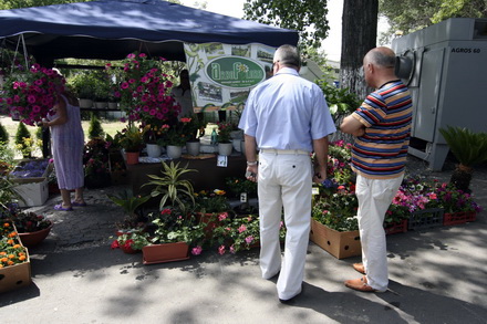 salonul regional al cercetarii in premiera la constanta galerie foto 80817 288735 salonul regional al cercetarii in premiera la constanta galerie foto 80817 288735