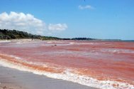 Black Sea turned into red
