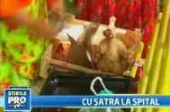 Rromii au taiat si parlit gainile in curtea spitalului judetean Constanta (video)