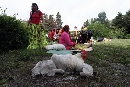 tiganii au vrut sa incinga gratare in curtea spitalului galerie foto 70141 291293 tiganii au vrut sa incinga gratare in curtea spitalului galerie foto 70141 291293