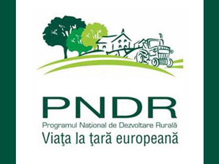 pndr0709.jpg